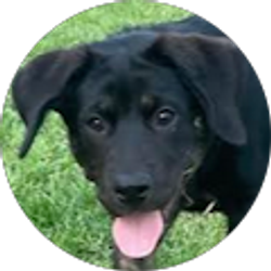 Profile photo of Nikae Perkinson