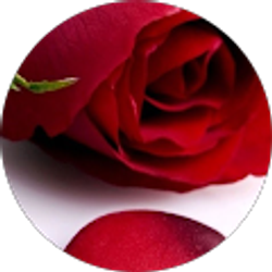 Profile photo of Kiddy Hamman