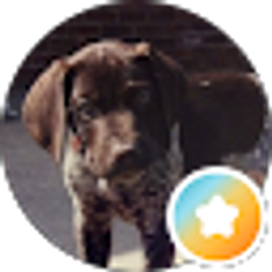 Profile photo of Erskin Hickman