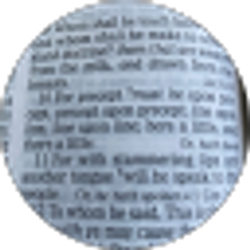 Profile photo of Line by Line Precept upon Precept
