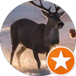 Profile photo of Elba Castro