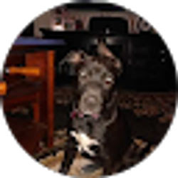 Profile photo of Laura Rose