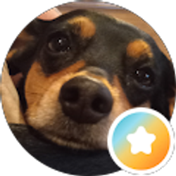Profile photo of Nina Sloan