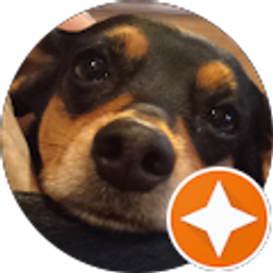 Profile photo of Nina Sloan