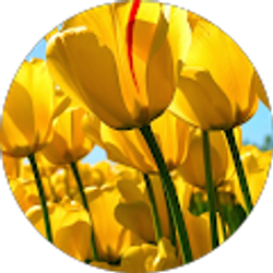 Profile photo of Robert Warren