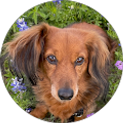 Profile photo of GilFavor52 Trail Boss