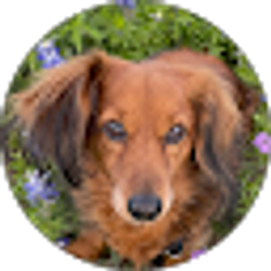 Profile photo of GilFavor52 Trail Boss