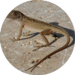 Profile photo of Trevor Malecha