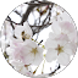 Profile photo of Melissa Triplett