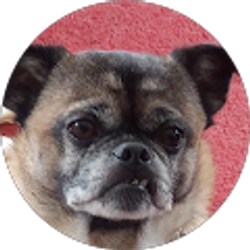 Profile photo of Nancy Sanborn