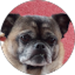 Profile photo of Nancy Sanborn
