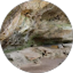 Profile photo of Stephanie McKitrick