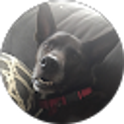 Profile photo of Sam