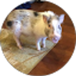 Profile photo of Brandon Young