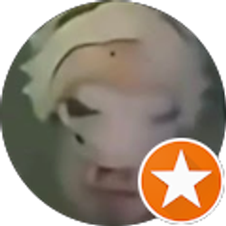 Profile photo of Krisofamerica