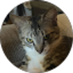Profile photo of Rainy