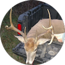 Profile photo of Alayna Newby