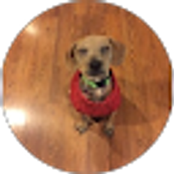 Profile photo of Pulse