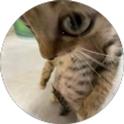 Profile photo of T R