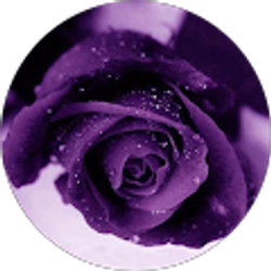 Profile photo of Charmin Mondaine-Brown