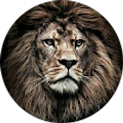 Profile photo of miguel jacinto