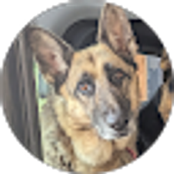 Profile photo of Pat G