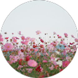 Profile photo of Sneha Thapa