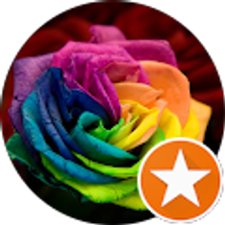 Profile photo of Rock Star