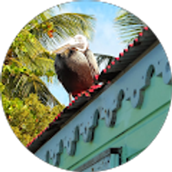 Profile photo of John Laura Beahm