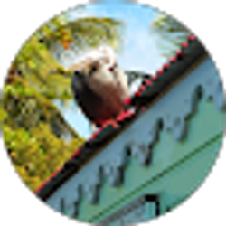 Profile photo of John Laura Beahm