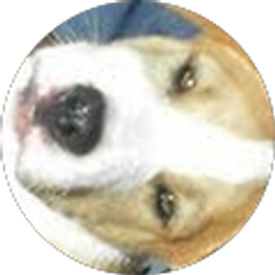 Profile photo of joe larragoitiy