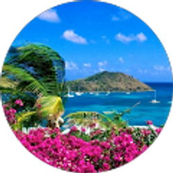 Profile photo of Janice Miller