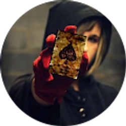 Profile photo of K9丨 TOSQARA