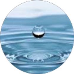 Profile photo of Osaro Ero