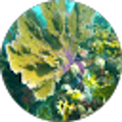 Profile photo of Raul Bringas