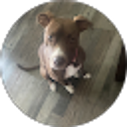 Profile photo of Isaac