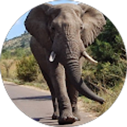 Profile photo of Kevin W Langford