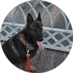 Profile photo of Dave Tate