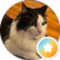 Profile photo of Amaris