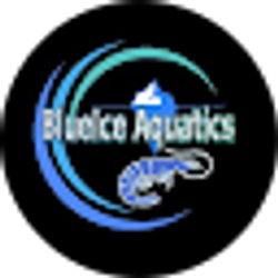 Profile photo of BlueIce Aquatics