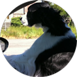 Profile photo of jbelly222