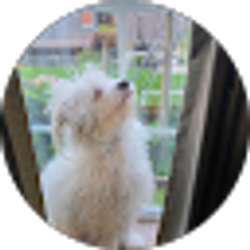 Profile photo of Ramon hector Moyano