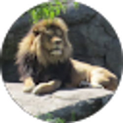 Profile photo of Leo Murillo