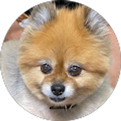 Profile photo of Dele O