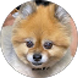 Profile photo of Dele O