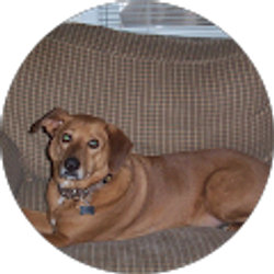 Profile photo of lily ramirez