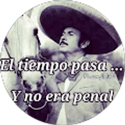 Profile photo of Gato