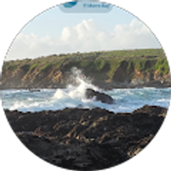 Profile photo of Scott A