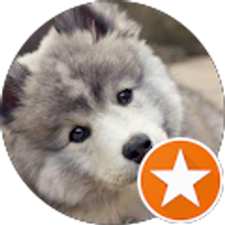 Profile photo of STEPHANIE