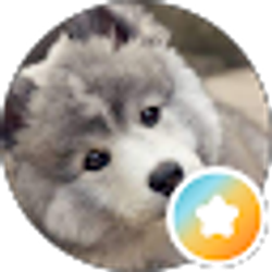 Profile photo of STEPHANIE